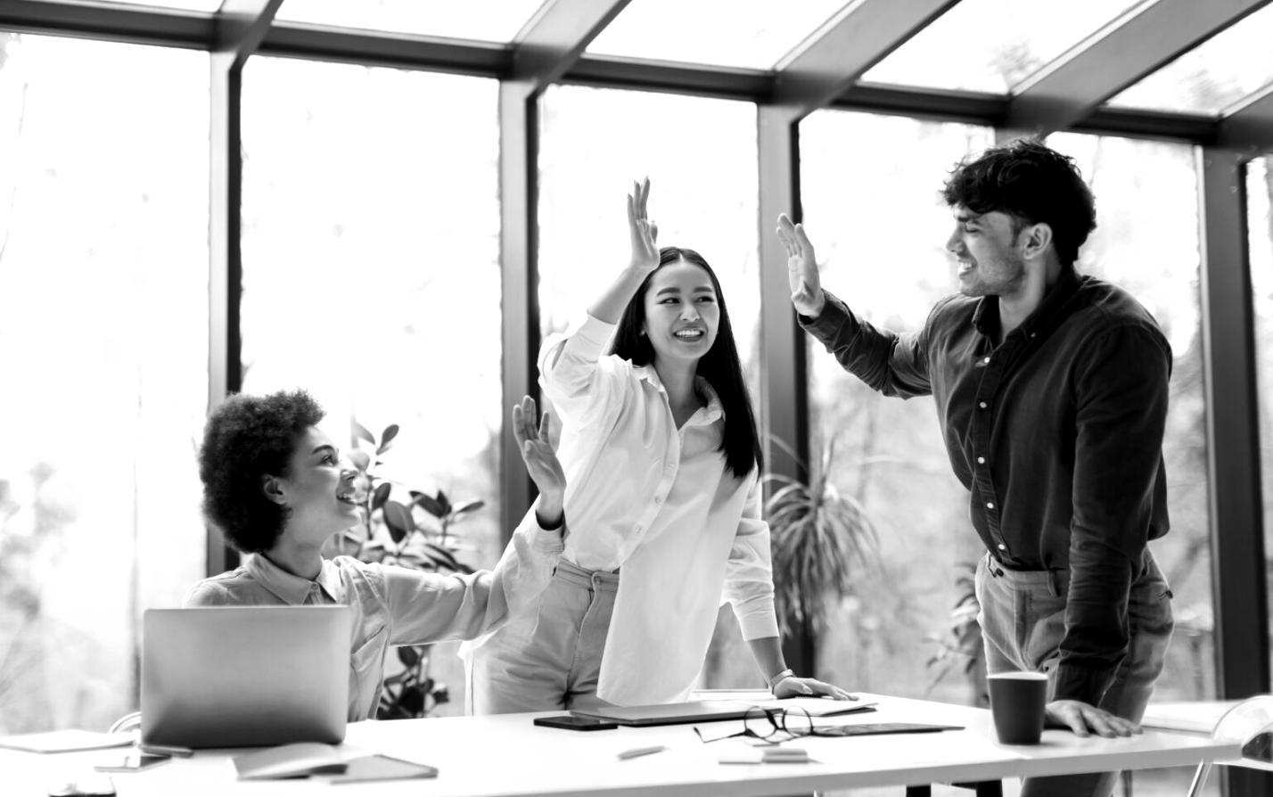 SEO-Audit Workspace mit Analysetools und Datenvisualisierung