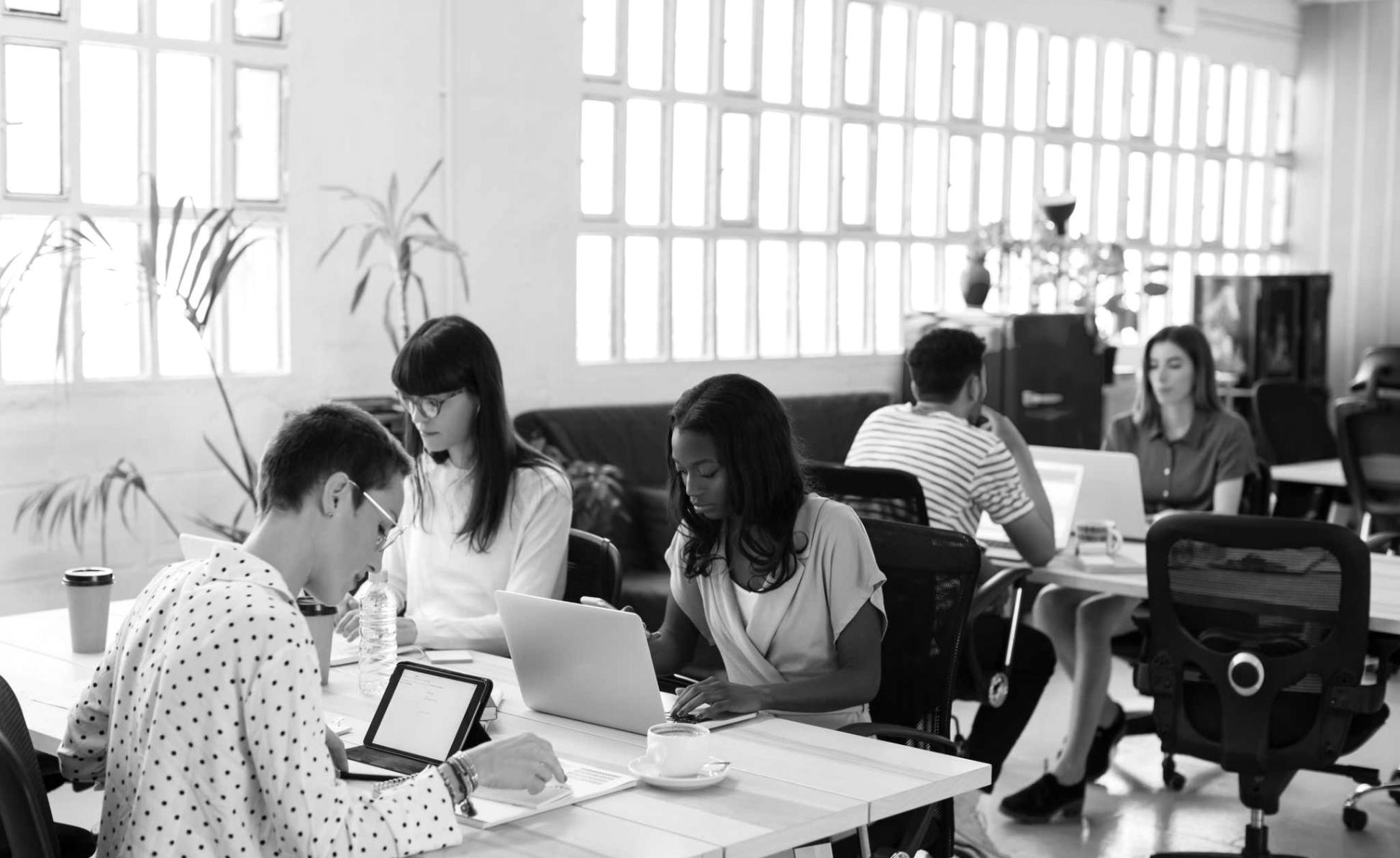 SEO-Audit Lernmaterialien und Analyse